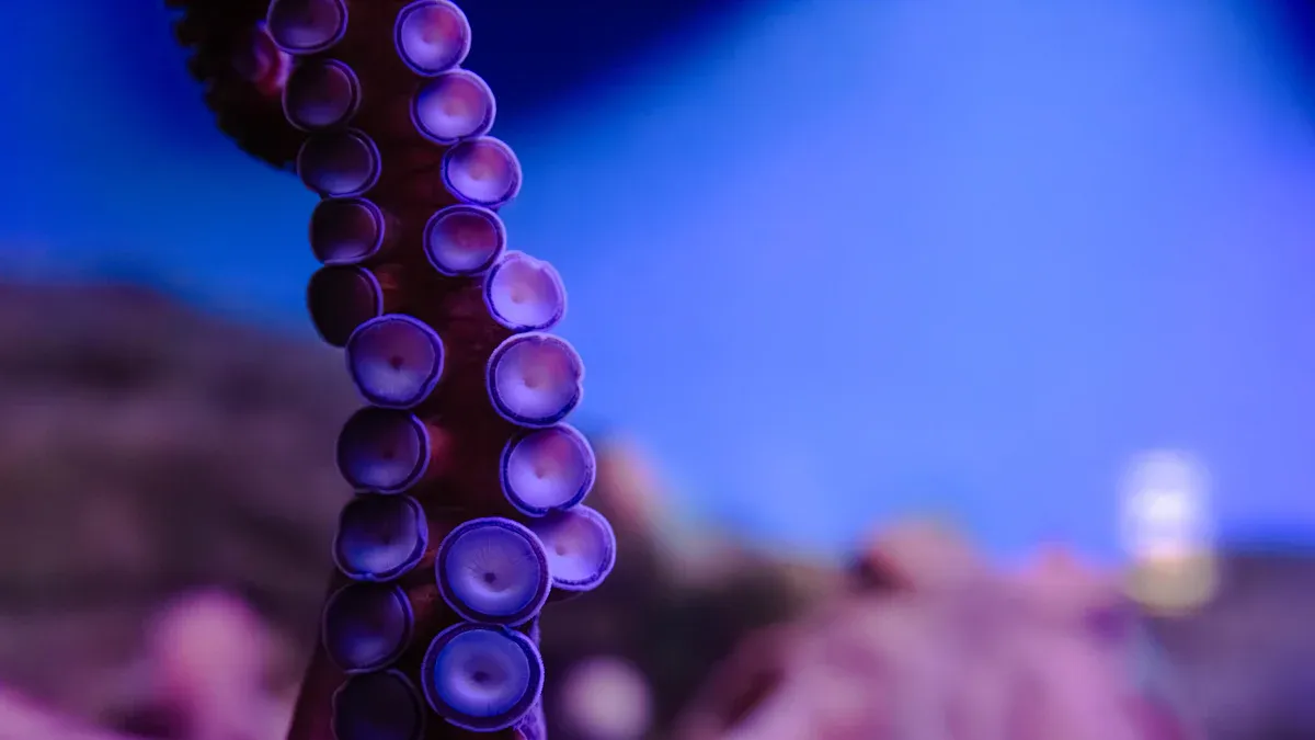 Tentacle Dildos Explained What They Are and How to Enjoy Them