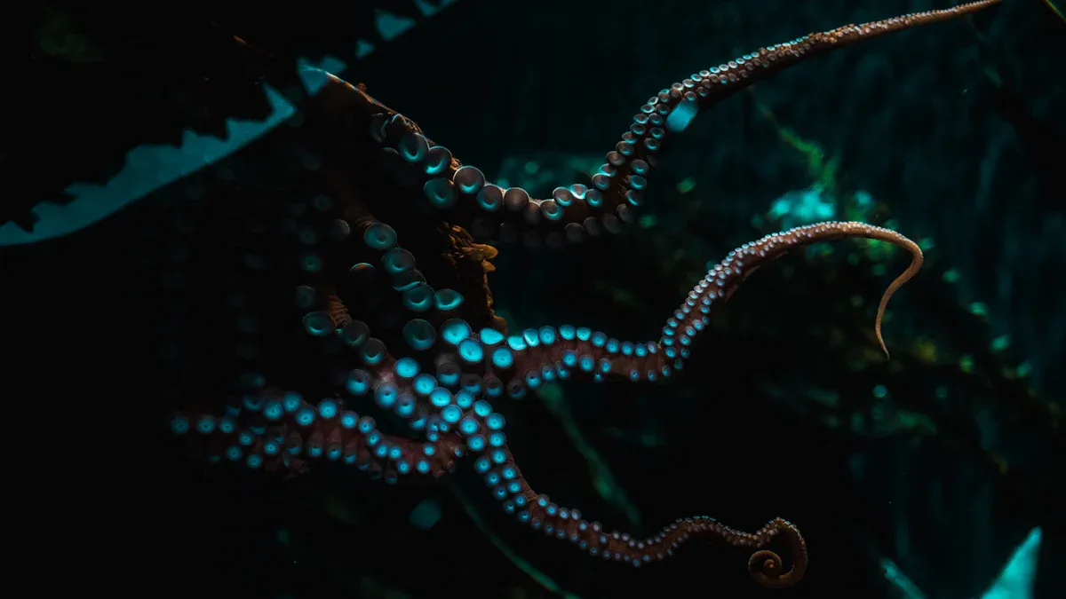 6. Kraken'
                style=