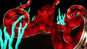 Tentacle Dildos Explained for Beginners