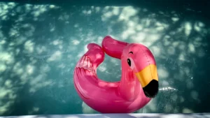 Top Inflatable Dildos for Beginners: Expert Reviews and Insights