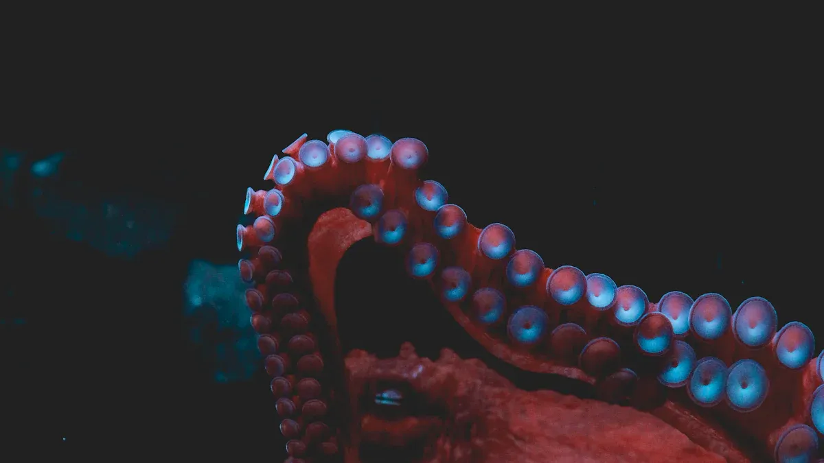 Tentacle Dildo Comparison