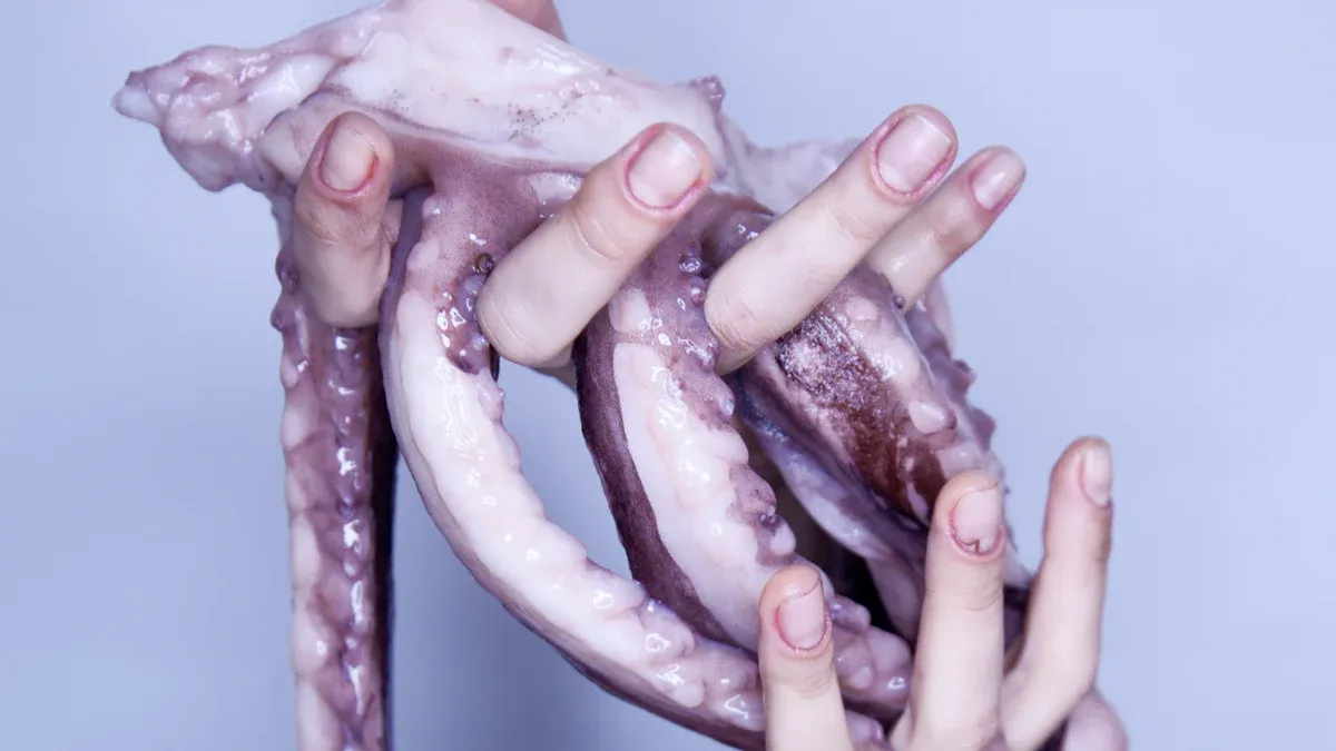 Types of Tentacle Dildos