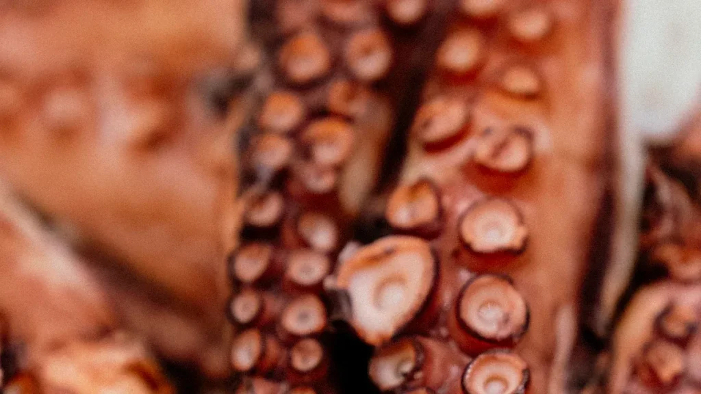 What Is a Tentacle Dildo and How Do You Use One