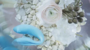 Top Clear Dildos Reviewed for Safe and Stunning Pleasure