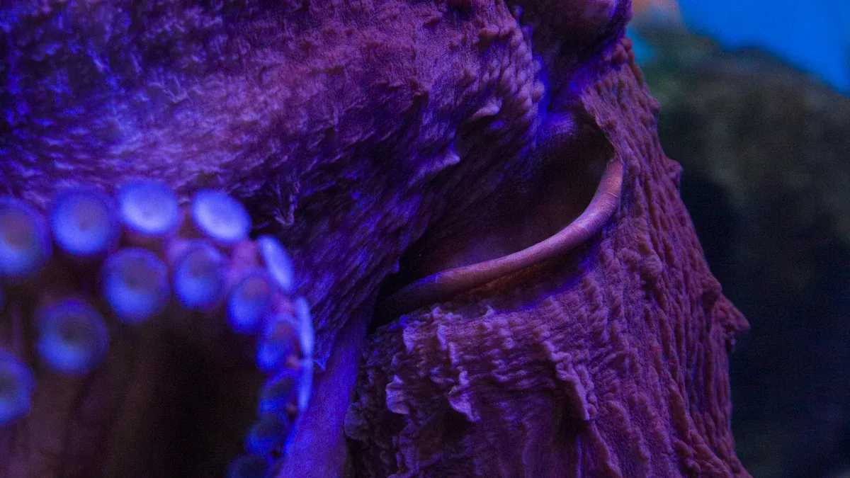 Tentacle Dildo Features