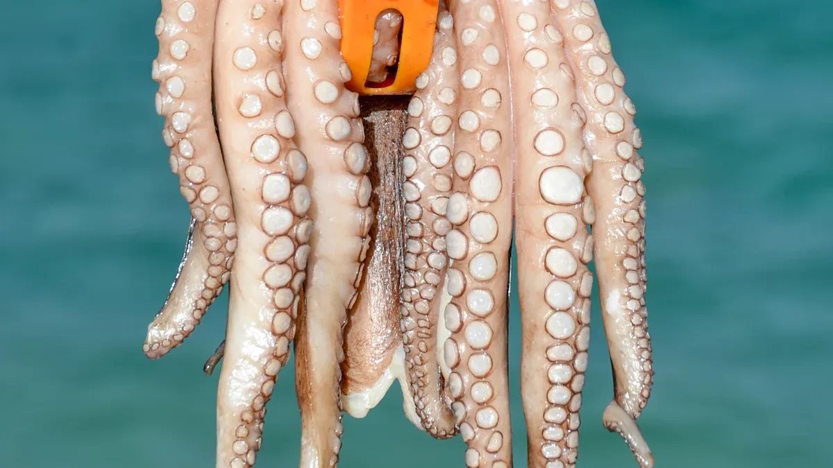 Tentacle Dildo Designs