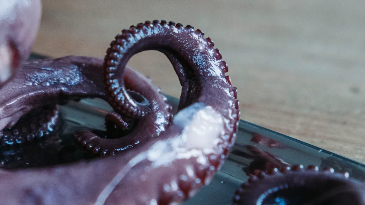 Glass Tentacle Dildo: Unique Sensations