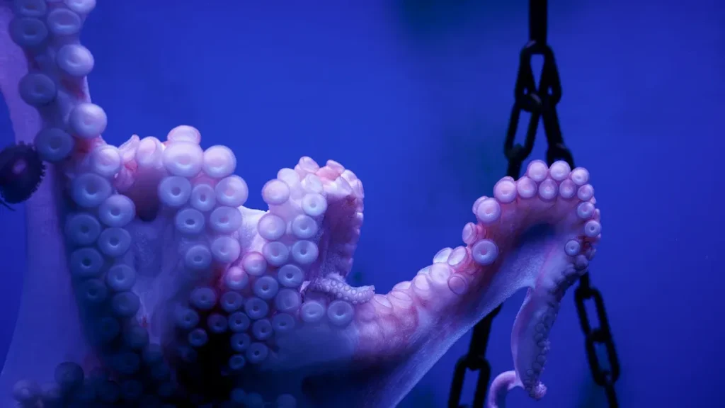 Top 7 Tentacle Dildos Real Tested for 2025