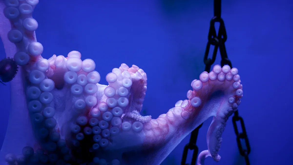 Top 7 Tentacle Dildos Real Tested for 2025